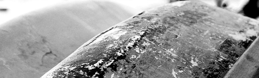 Boat Barco Texture
